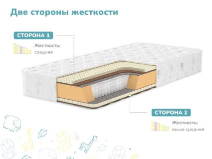 Матрас Димакс Чемпион Макси 54